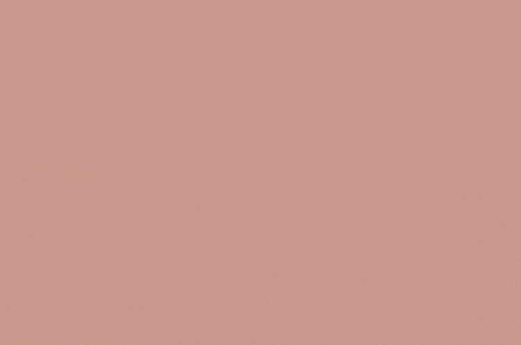 Social Media Marketing Company in India Digital Media Calendar