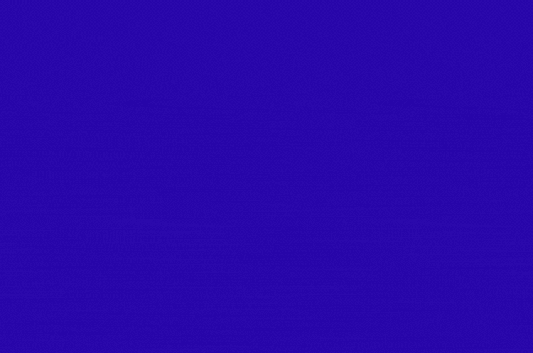 SEO Optimization company in Delhi India Digital Media Calendar