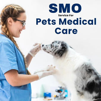Social Media Optimization Service For Pets Medical Care