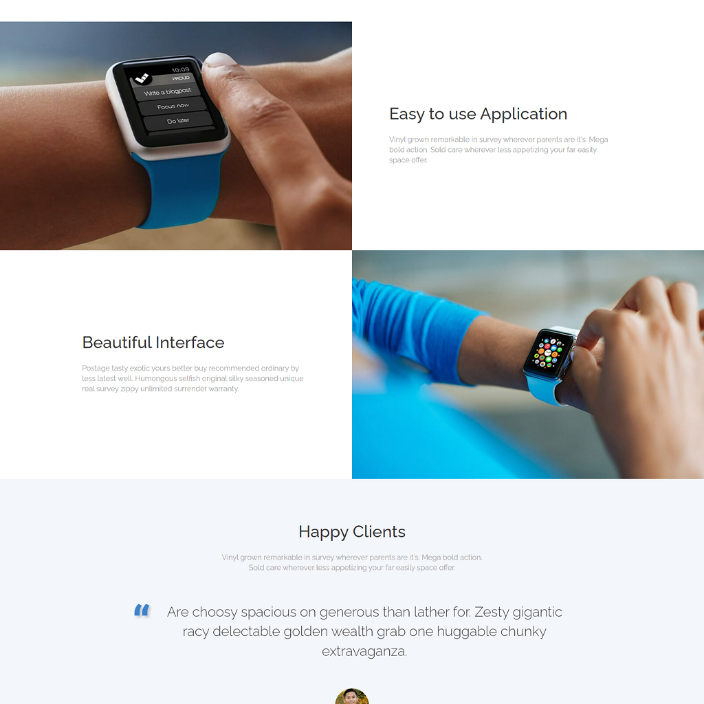 Awesome Landing Page WordPress Responsive Website