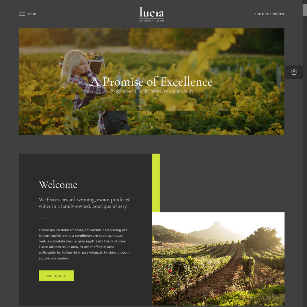 BEST WINE SHOP WordPress Responsive Website