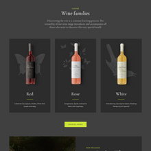 BEST WINE SHOP WordPress Responsive Website