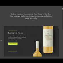 BEST WINE SHOP WordPress Responsive Website