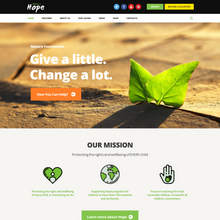 Non-Profit, Charity & Donations WordPress Responsive Website
