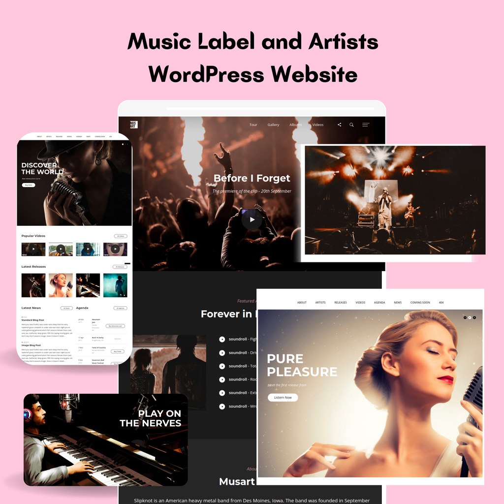Music Label and Artists WordPress Website