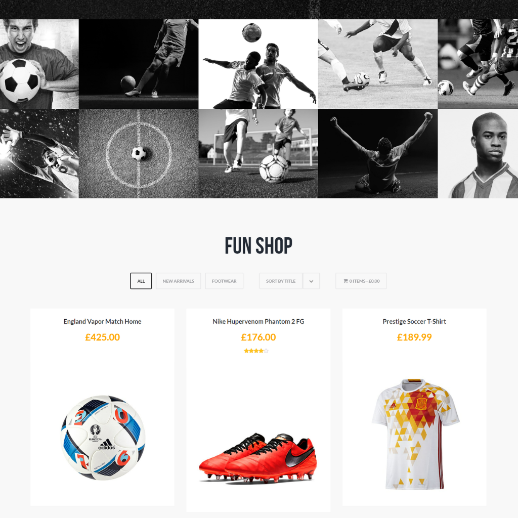 Soccer Club WordPress Responsive Website
