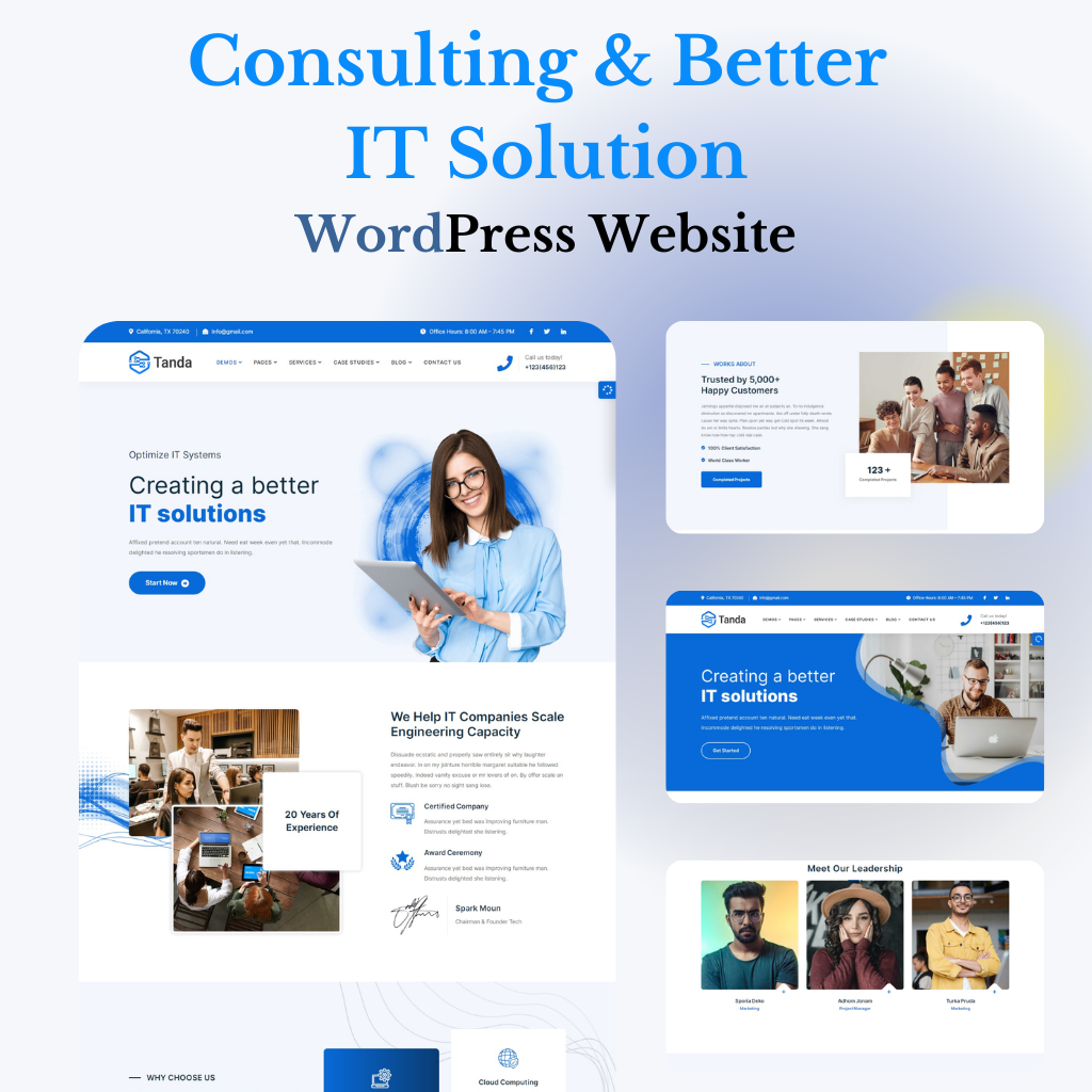 Consulting & Better IT Solution WordPress Responsive Website