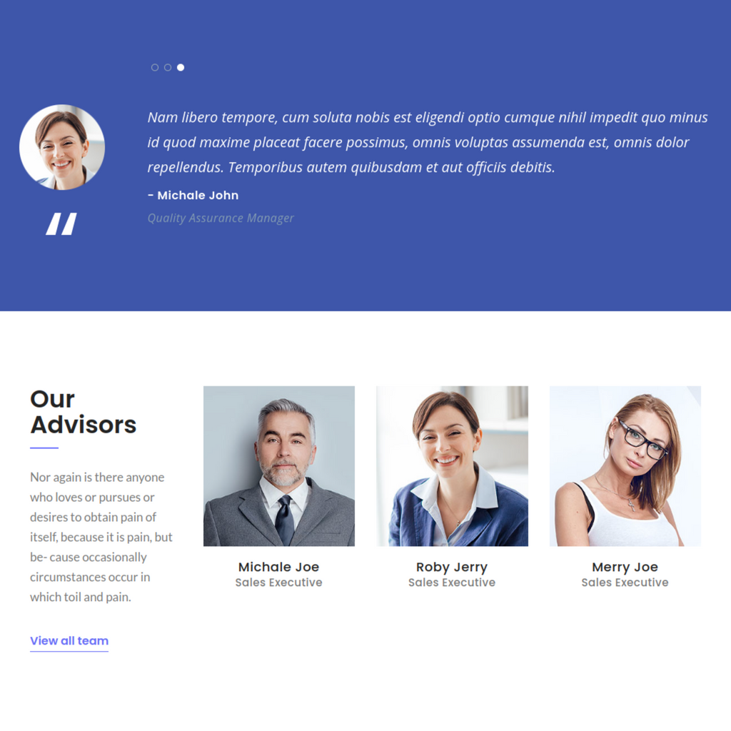 Business and Consulting WordPress Responsive Website