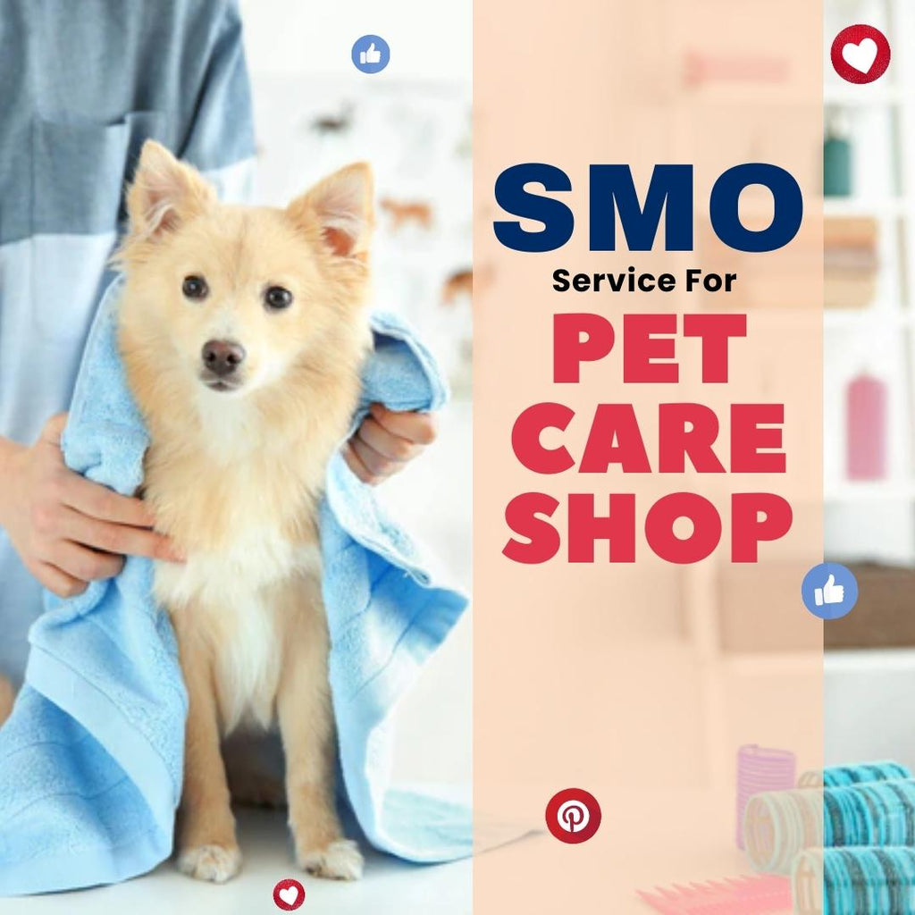 Social Media Optimization Service For Pet Care Shop