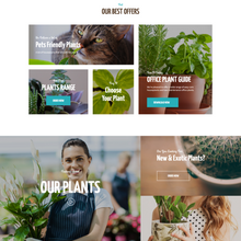Houseplants store & Gardening WordPress Responsive Website