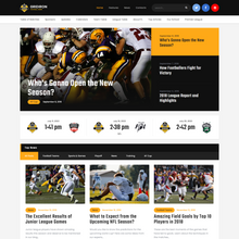 American Football & NFL Team WordPress Responsive Website
