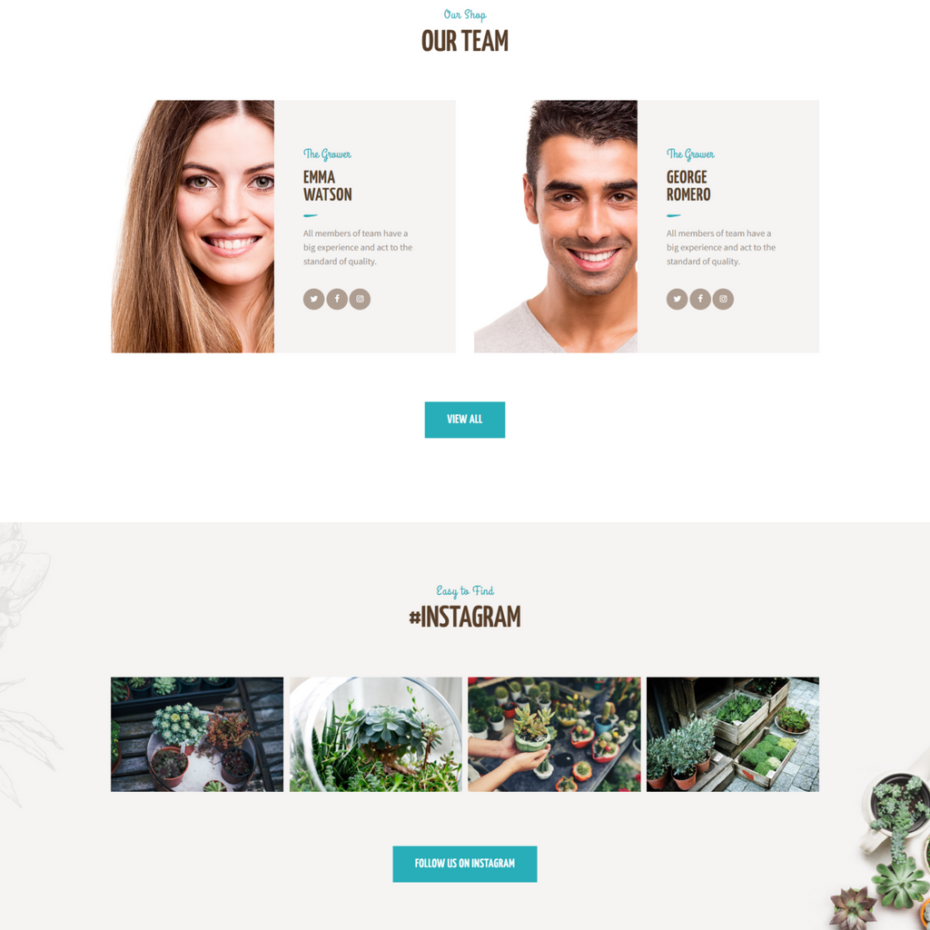 Houseplants store & Gardening WordPress Responsive Website