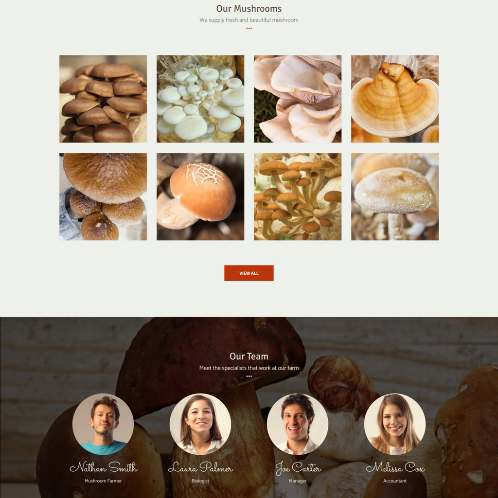 Mushroom Farm & Organic Products Store WordPress Responsive Website