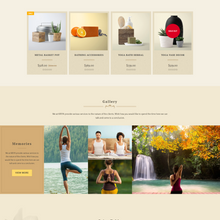 We Love Yoga Shopify Shopping Website