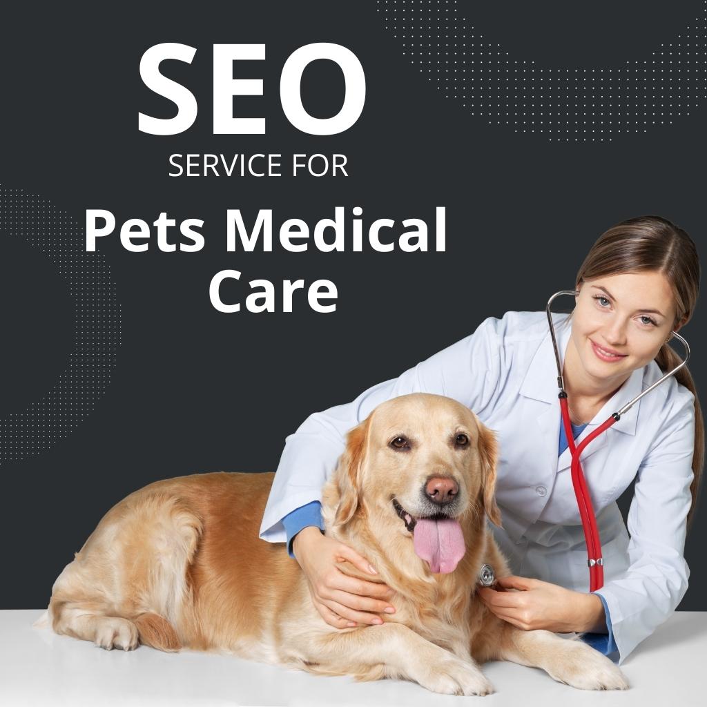 Search Engine Optimization Service For Pets Medical Care