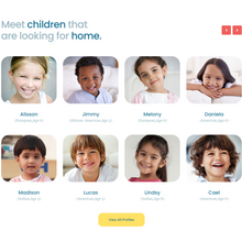 Child Adoption Service & Charity WordPress Responsive Website