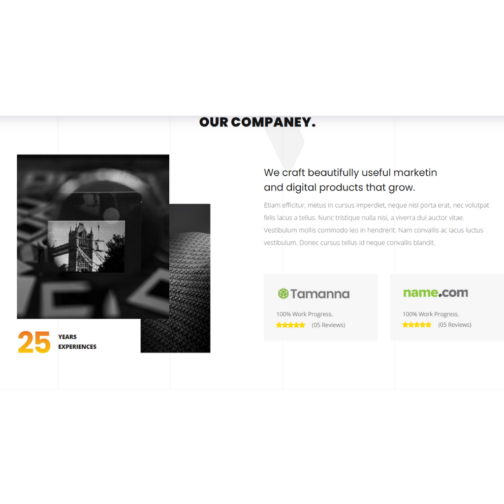 Creative Portfolio Agency WordPress Responsive Website