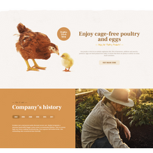 Agricultural Business WordPress Responsive Website