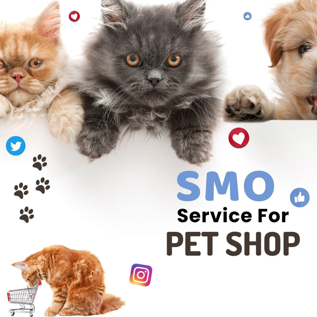 Social Media Optimization Service For Pet Shop