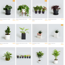 Go Green Plants Shopify Shopping Website