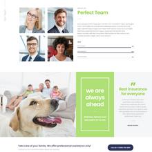 Clean Insurance and Finance WordPress Responsive Website