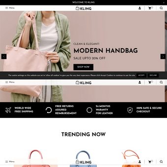 Handbag Shopify Shopping Website