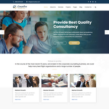 Quality Business Solution WordPress Responsive Website