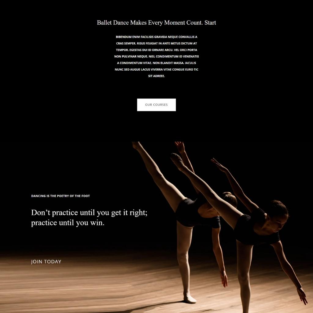 Ballet School Shopify Shopping Website