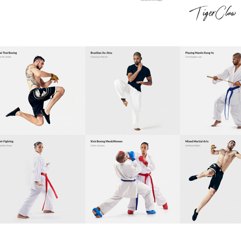 Martial Arts Club WordPress Responsive Website