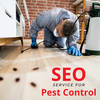 Search Engine Optimization Service For Pest Control