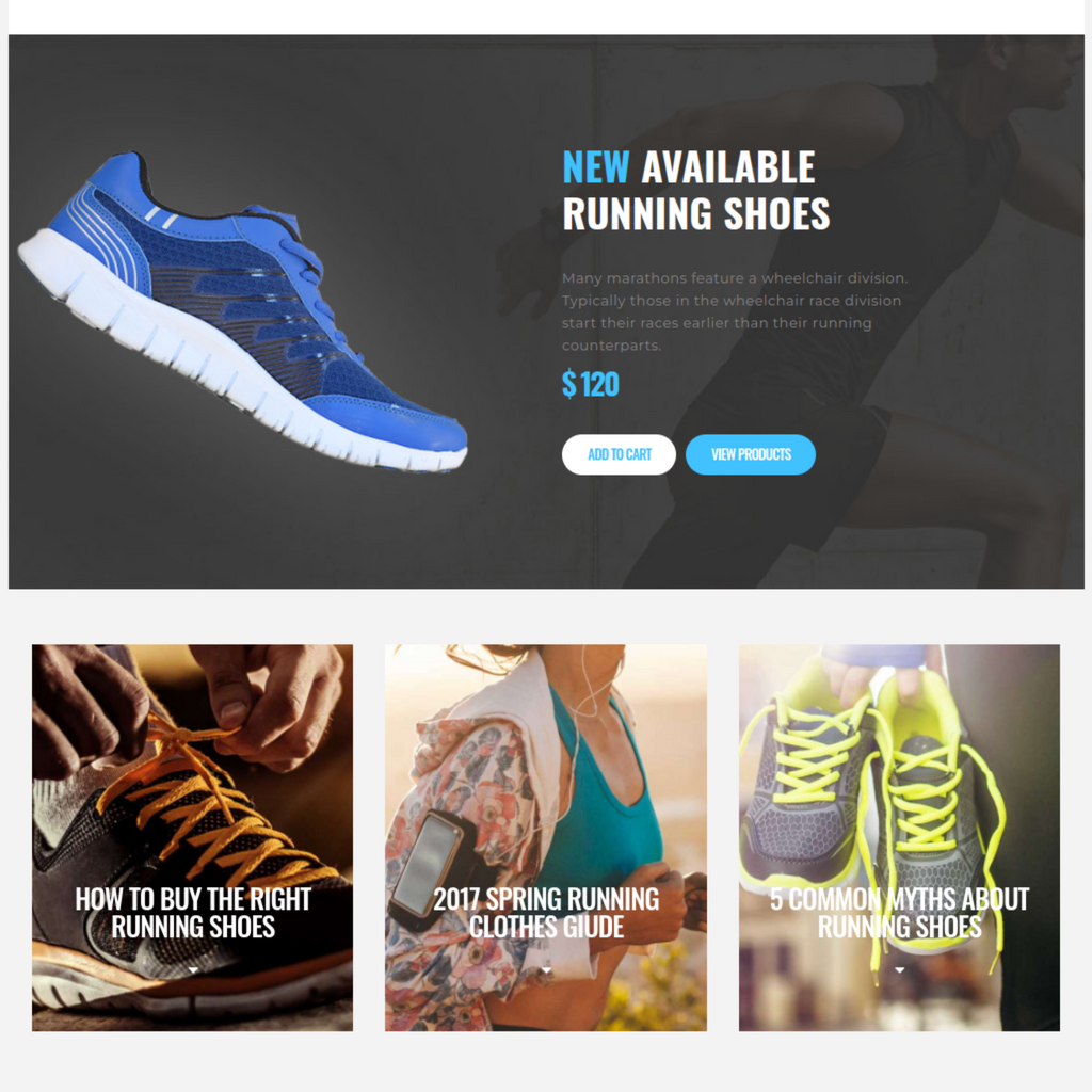 E-commerce Sport Store WordPress Responsive Website