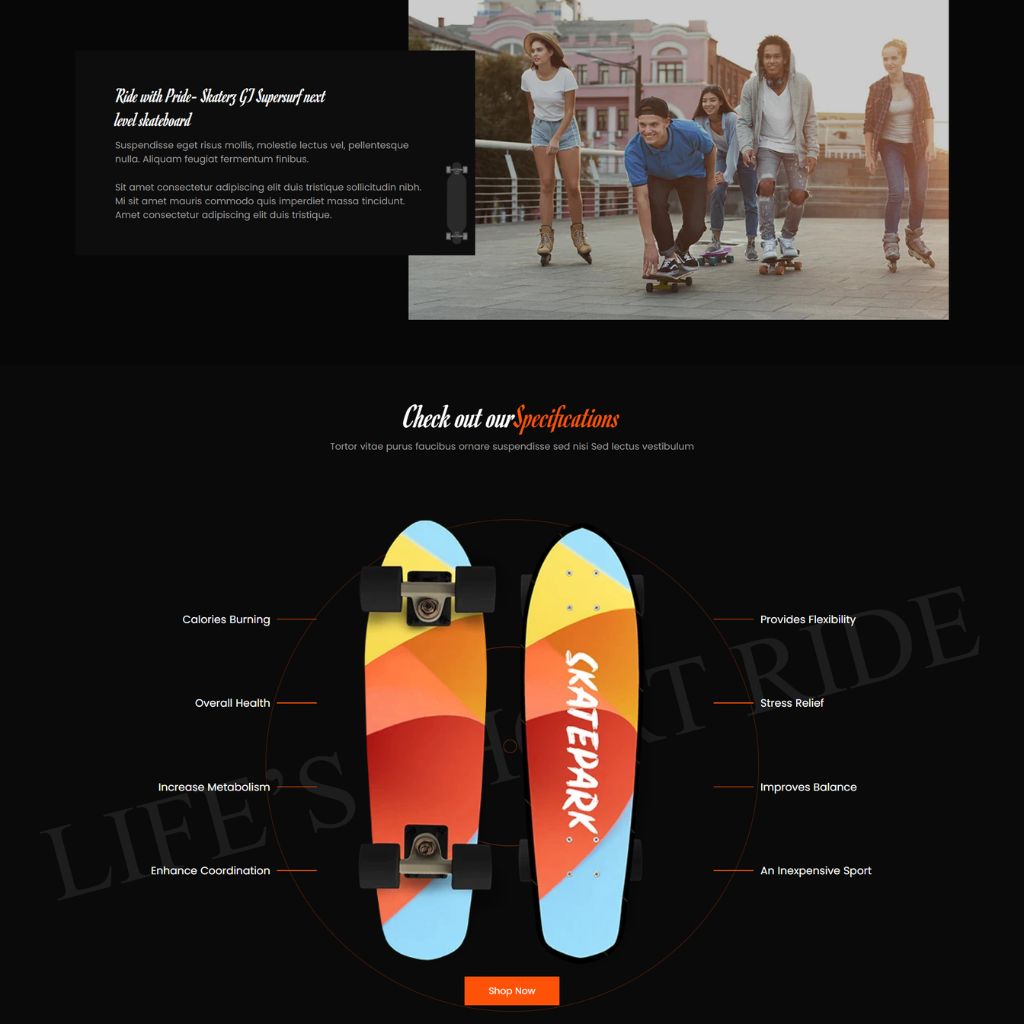 Skateboard Store Company Shopify Shopping Website