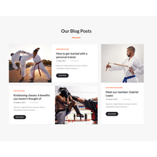 Martial Arts Club WordPress Responsive Website