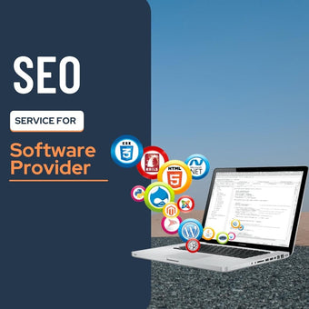 Search Engine Optimization Service For Software Provider