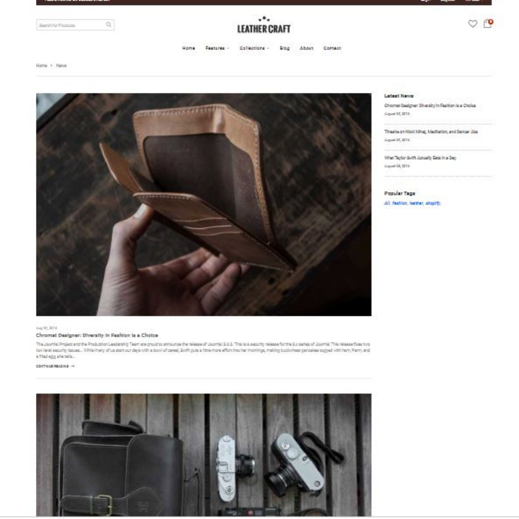 Handbag Store Shopify Website