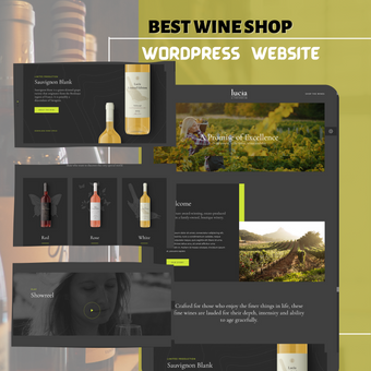 BEST WINE SHOP WordPress Responsive Website