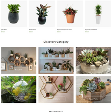 Gardening & Houseplants Shopify Shopping Website